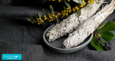Top 6 Proven Health Benefits of Burning Sage