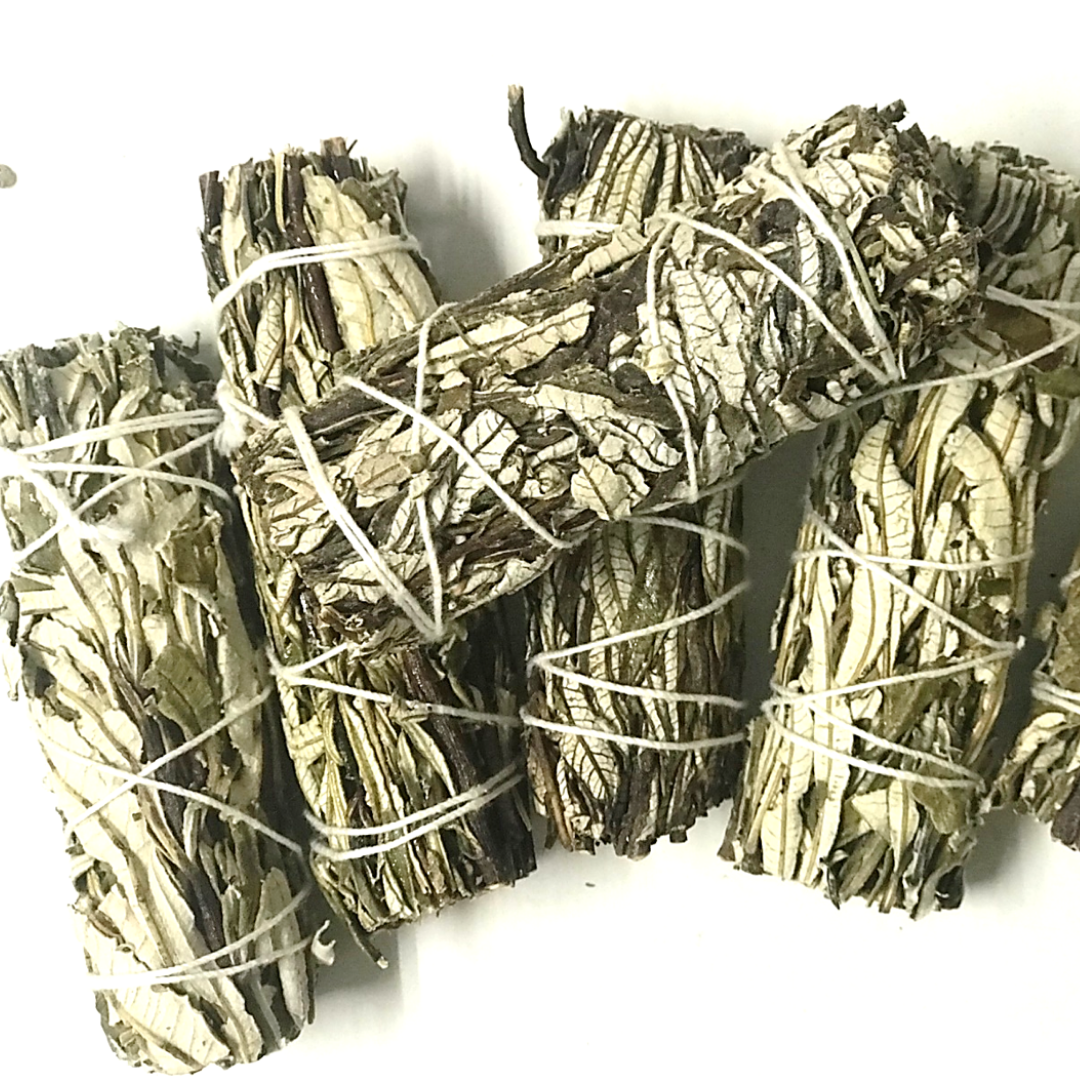 Dried Sage: Yerba Santa Smudge